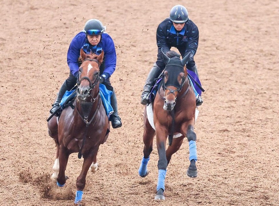 天皇賞(秋)】今回のメンバー相手では「足りない」に違和感 前走