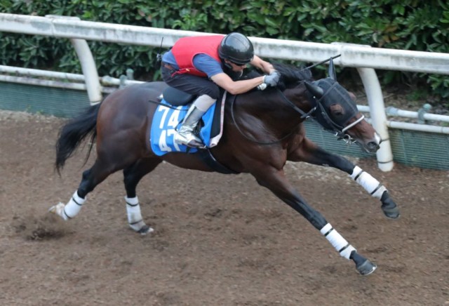 上がり馬ドクタードリトルの食い込みに注意