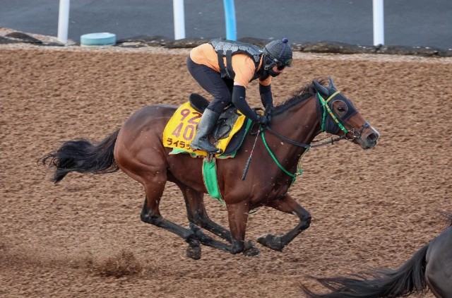 【府中牝馬Ｓ】「秋競馬の穴馬」として今年も買いたい１頭 ジョッキー進言で反撃の準備「整った」