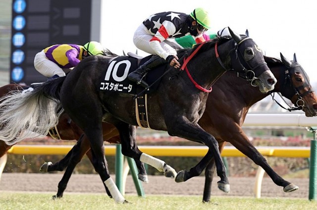 東京コースとの相性も上々のコスタボニータ