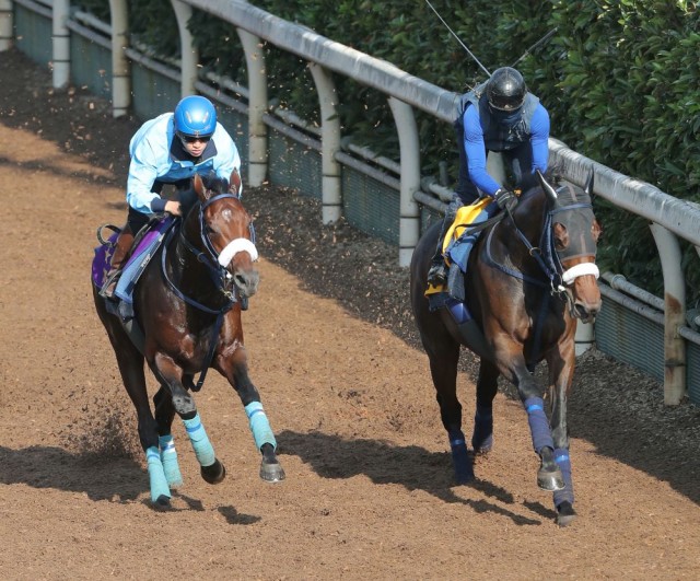 久々も苦にしないブローザホーン