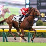 初戦は楽な手応えで完勝だったレッドキングリー