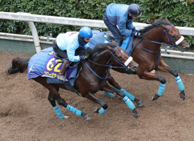 立て直された効果が感じられるブローザホーン（手前）