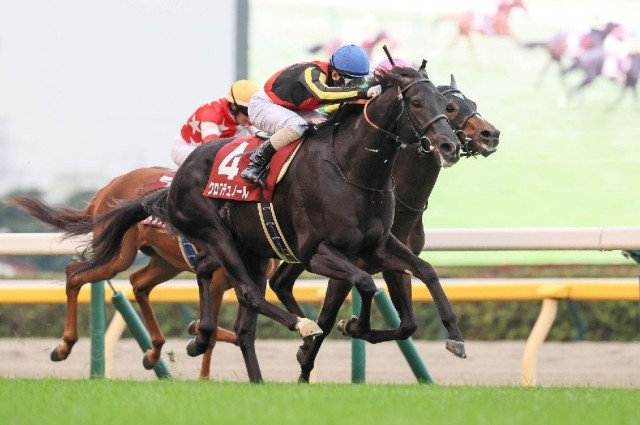 余裕残しの馬体で東スポ杯を完勝したクロワデュノール