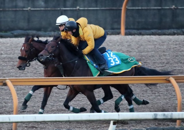 状態面は前走以上のベラジオオペラ（奥）