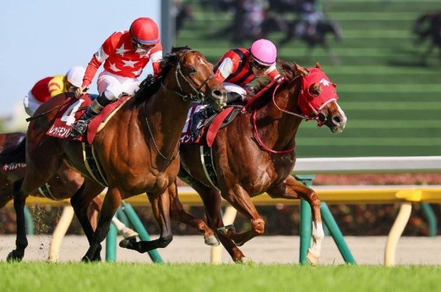 芝1400ｍで重賞３勝を挙げるウインマーベル