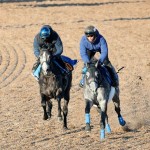 カラヴァジェスティ