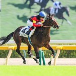 鋭い決め手を繰り出して初戦を完勝したキングノジョー