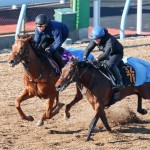 余裕を持ったローテーションで臨むマイスターヴェルク（奥）