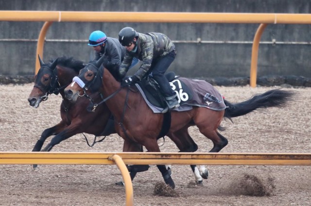 ３連勝中で底を見せないヴェローチェエラ