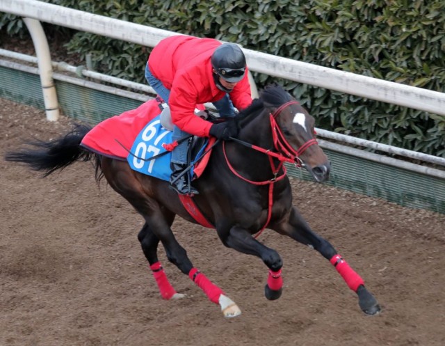 ハイレベルな皐月賞を経験しているエコロヴァルツに注目