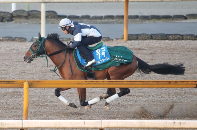 得意の芝1800ｍなら連勝も　アルナシーム