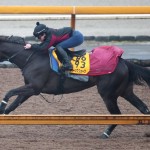 唯一の４歳馬クイーンズウォークに要注目