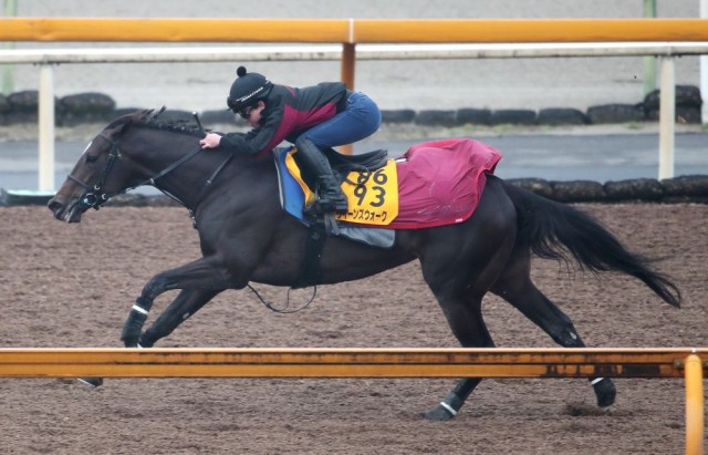 唯一の４歳馬クイーンズウォークに要注目