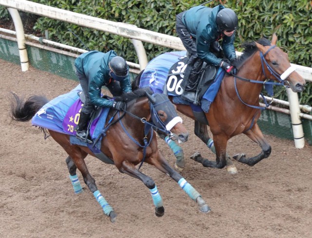 昨年好走した舞台で復活なるか　ブローザホーン（左）