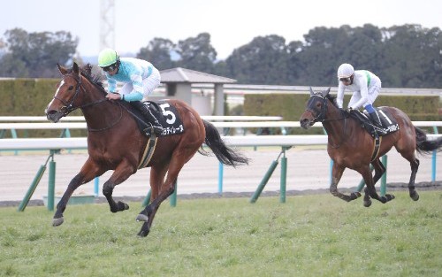 前走は牡馬相手に完勝だったパラディレーヌ