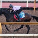 荒れ馬場も苦にしないサブマリーナ
