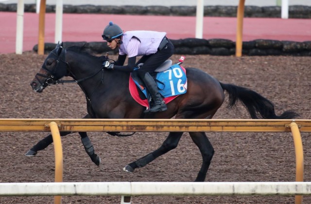 荒れ馬場も苦にしないサブマリーナ