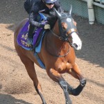 坂路で軽快な動きを見せているママコチャ