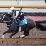 仕上がりも上々のアウトレンジ