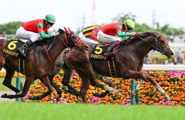 マイネルカンパーナの食い込みに注意