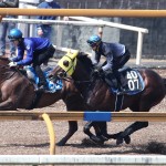 テスティモーネ
