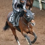 優秀な時計で１勝クラスを勝ち上がってきたトッピボーン