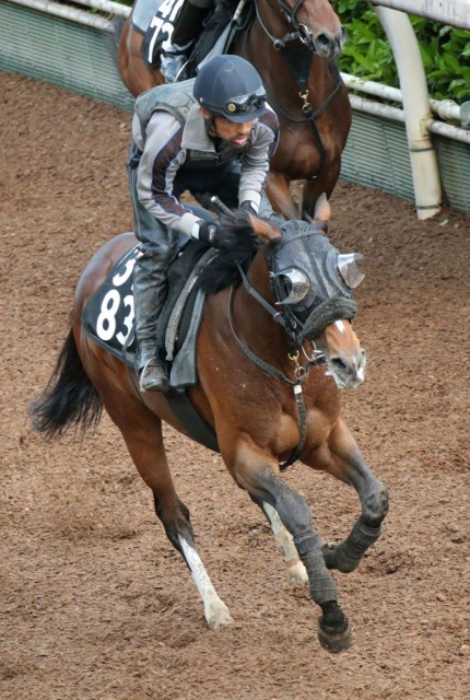 優秀な時計で1勝クラスを勝ち上がってきたトッピボーン