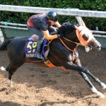 ジックリと立て直されたジャンタルマンタル