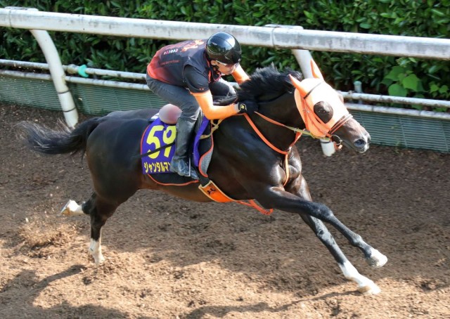 ジックリと立て直されたジャンタルマンタル