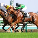 着実に力をつけているジョーメッドヴィン